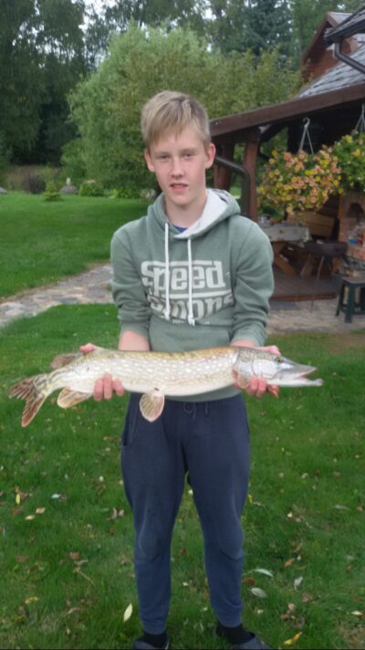 Northern Pike, 3.0 kg