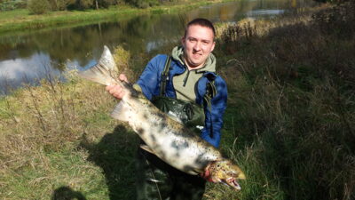 Atlantic salmon, 10.0 kg