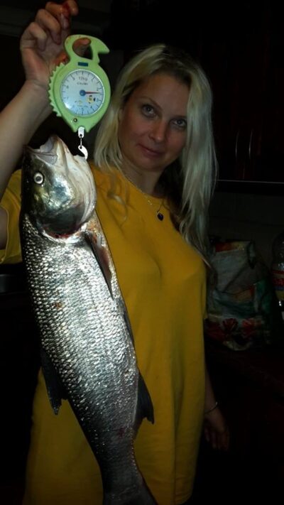 Asp, 2.4 kg