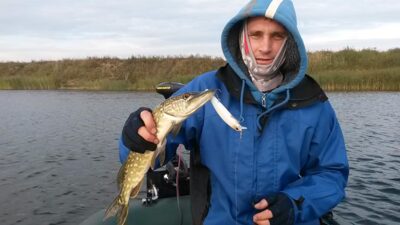 Northern Pike
