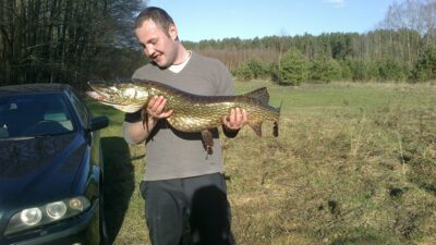 Northern Pike, 7.5 kg — Dringis