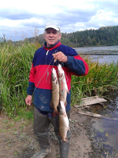 Northern Pike ×3 — Neman River