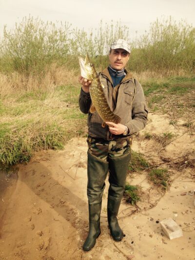 Northern Pike, 2.9 kg