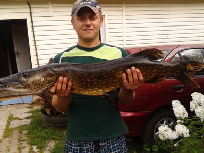 Northern Pike, 5.2 kg