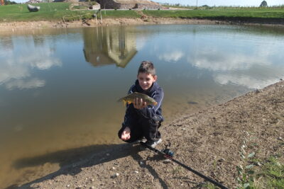 Carp, 0.4 kg