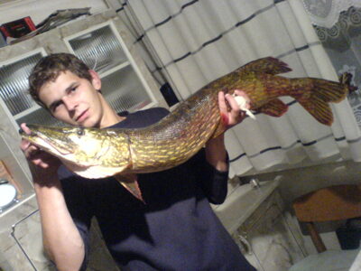 Northern Pike, 8.1 kg