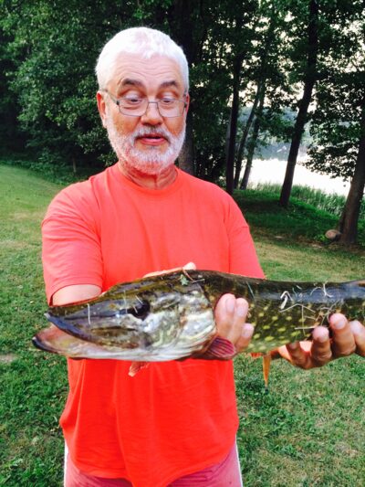 Northern Pike — Galinis
