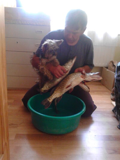 Northern Pike ×3 — Neman River
