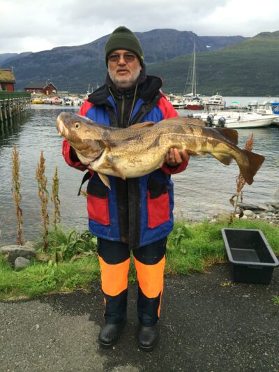 Atlantic cod, 16.5 kg — Norwegian Sea