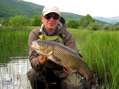 chub, 2.7 kg — Plavsko jezero