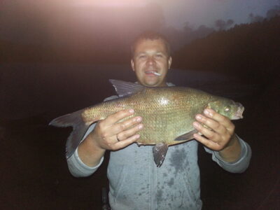 Carp bream, 3.1 kg — Asveja