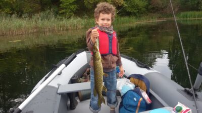 Northern Pike — Gelūžė