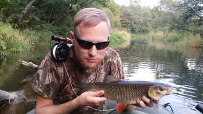 chub — Širvinta