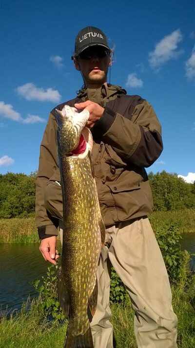 Northern Pike — Danė