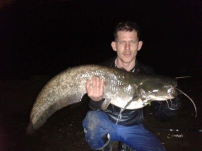 Wels catfish, 12.0 kg