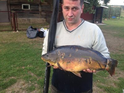 Carp, 5.2 kg