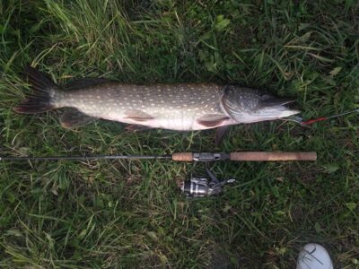 Northern Pike, 5.0 kg — Kulių III-asis