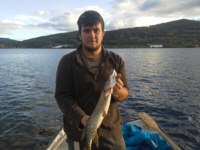 Northern Pike