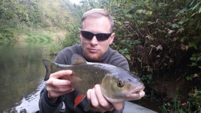 chub — Širvinta