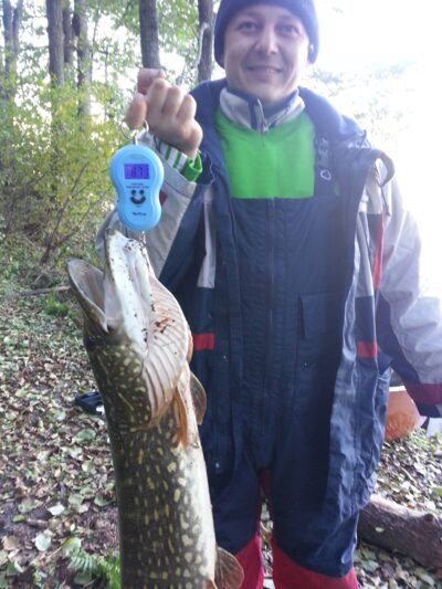 Northern Pike, 8.7 kg