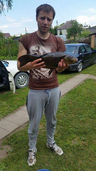 Tench, 4.5 kg