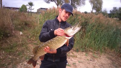 Northern Pike, 4.1 kg — Lampėdis