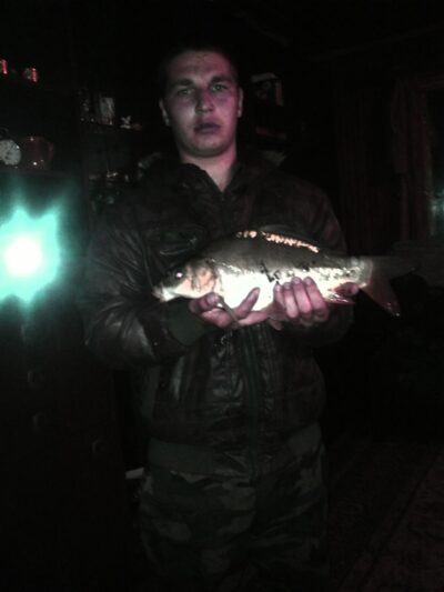 Carp — Danube
