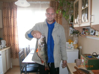 Eurasian perch, 1.4 kg — Klykolių