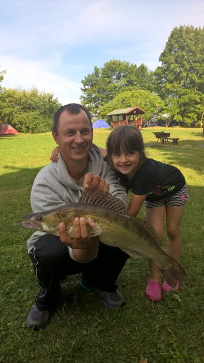 Pike perch, 2.0 kg — Sartai