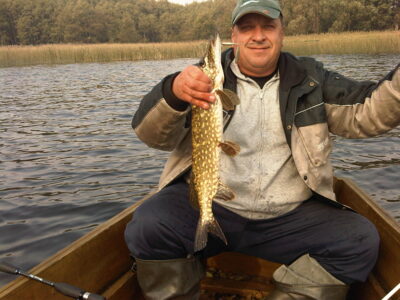 Northern Pike — Zapsys