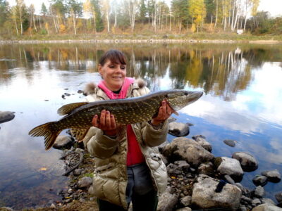 Northern Pike — Saxen