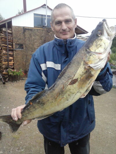 Pike perch, 5.2 kg — Beržėnų