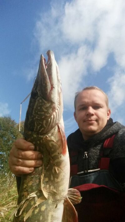 Northern Pike, 2.3 kg — Neris River