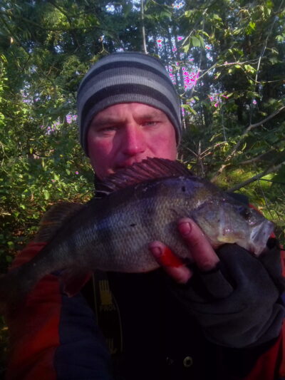 Eurasian perch, 1.0 kg — Kaunas reservoir