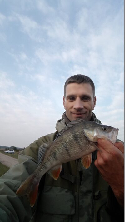 Eurasian perch, 0.8 kg