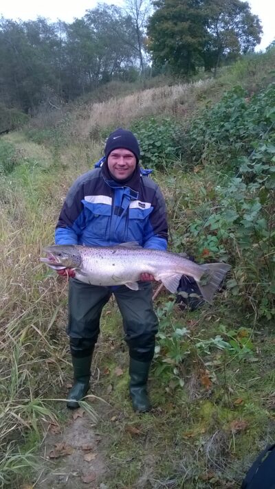 Atlantic salmon, 12.0 kg — Neris River
