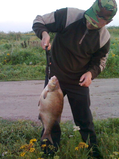 Carp bream, 2.9 kg