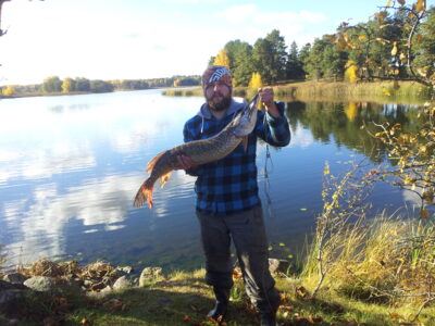 Northern Pike — Arimaičių