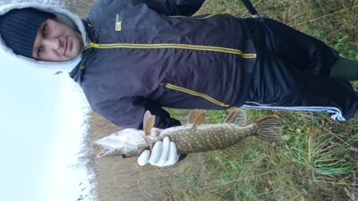 Northern Pike, 0.6 kg
