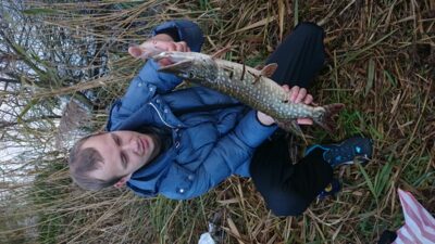 Northern Pike, 1.7 kg