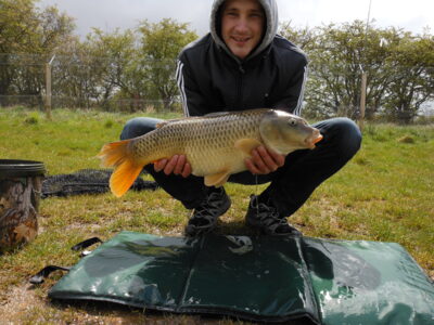 Carp, 4.7 kg