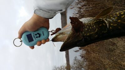 Northern Pike, 3.2 kg — Liberiškio