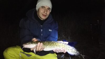 Burbot — Neman River