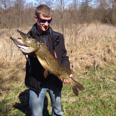 Northern Pike, 7.4 kg