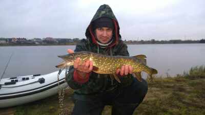 Northern Pike, 2.5 kg — Šalčininkų II-asis