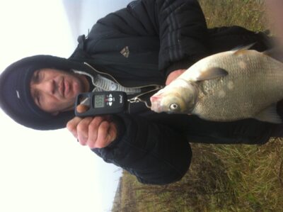 Carp bream — Skirvytė