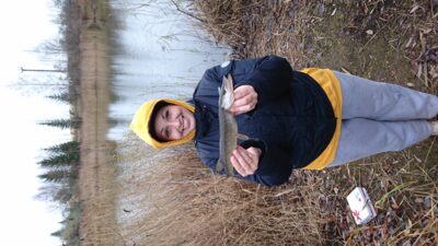 Northern Pike, 0.3 kg