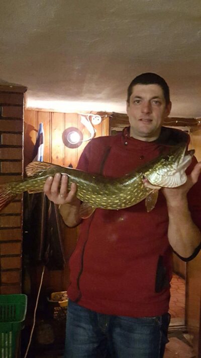 Northern Pike, 3.1 kg