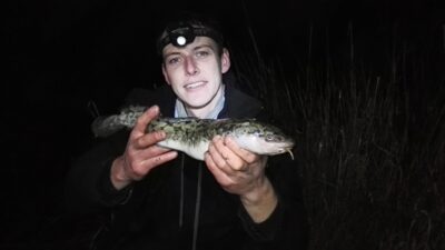 Burbot — Neman River