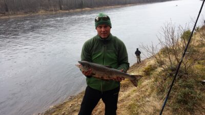 Atlantic salmon, 4.2 kg — Варзуга